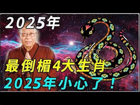 2025年什麼年|2025年